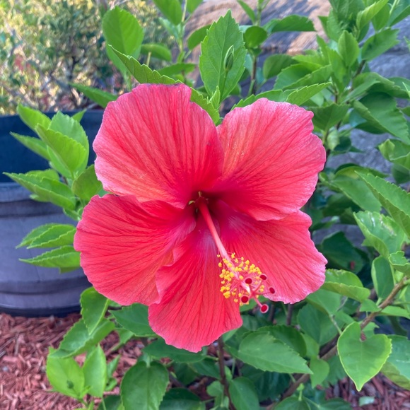 Hey y’all! I’m Ashley 😉 - Picture 2 of 9